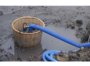 バイスケ竹かご